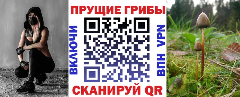 Галлюциногенные грибы Magic Shrooms цена Голицыно